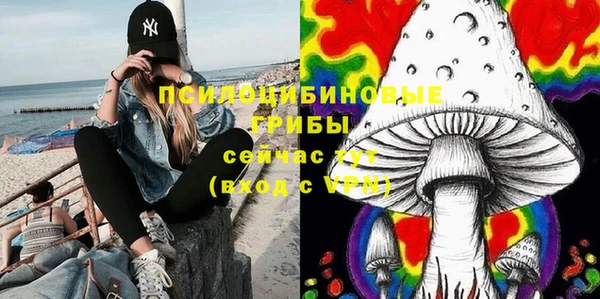 мет Вяземский