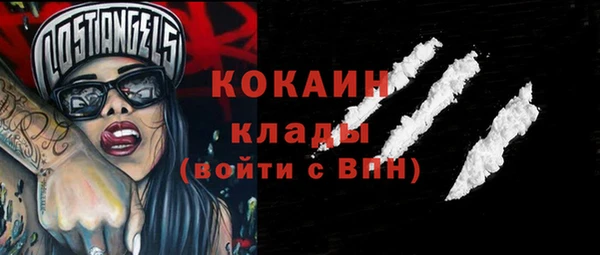 индика Протвино