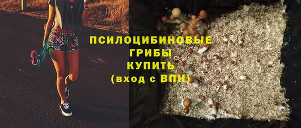 мет Вяземский
