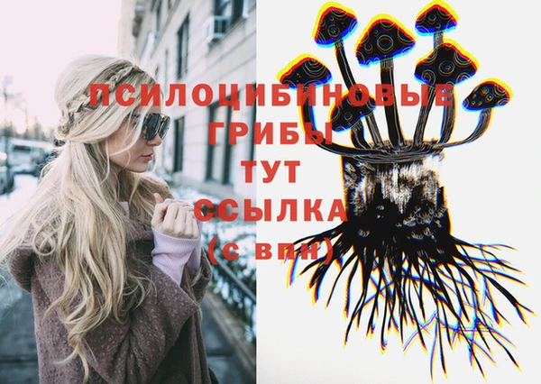 мет Вяземский